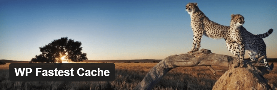 WP Fastest Cache